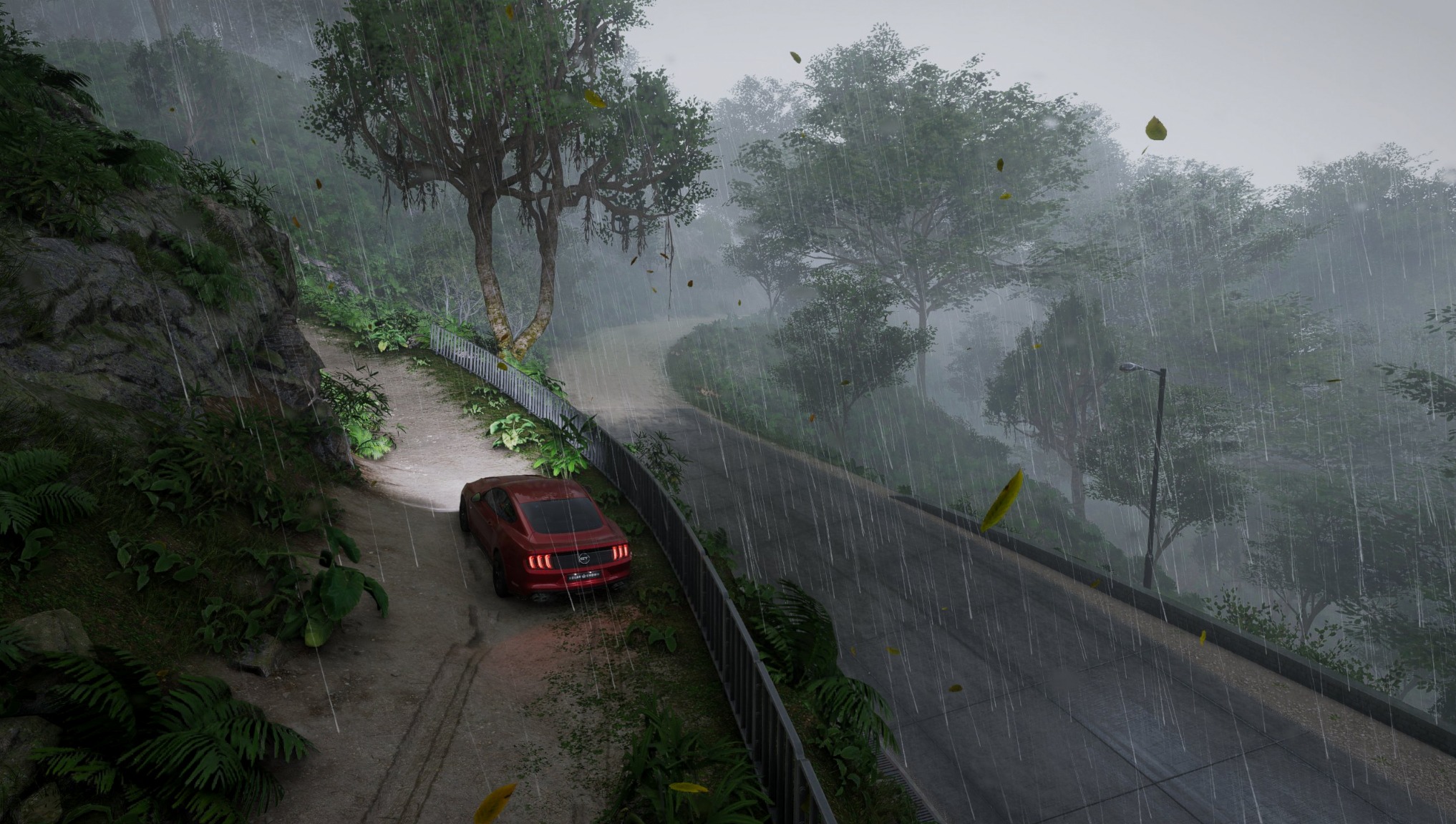 Tai Tam off-road trail in the rain